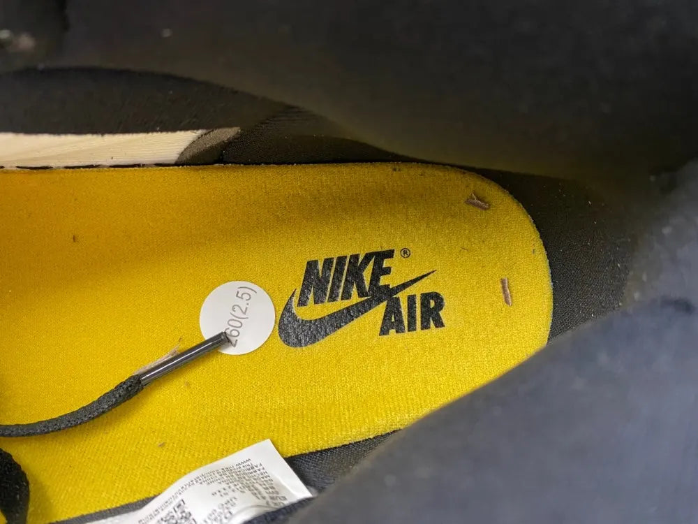 Air Jordan 1 Retro Pollen - Hình 17