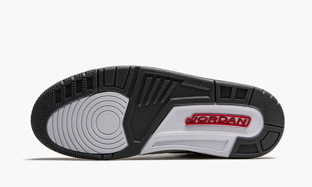 Jordan 3 Retro Cool Grey - Hình 2