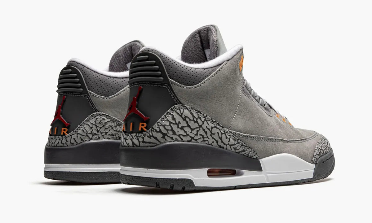 Jordan 3 Retro Cool Grey - Hình 5