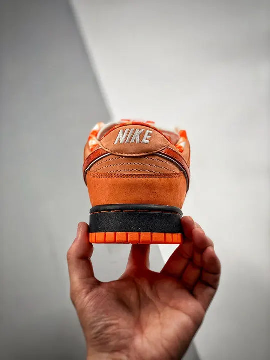 low Nike SB Dunk Orange - Hình 8