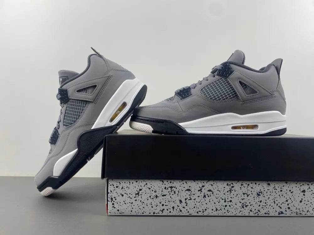 Air Jordan 4 Retro Cool Grey iconic - Hình 3