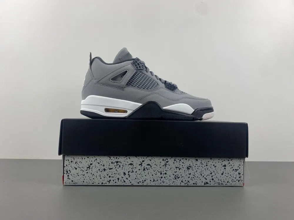 Air Jordan 4 Retro Cool Grey iconic