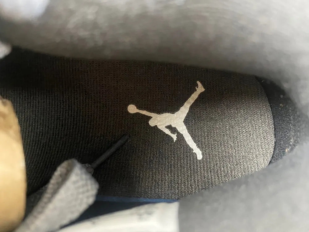 Air Jordan 4 Retro Cool Grey iconic - Hình 4