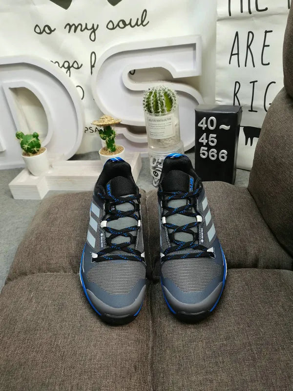 Adidas Terrex Skychaser Grey Blue - Hình 2