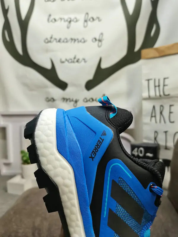 Adidas Terrex Skychaser Grey Blue - Hình 16